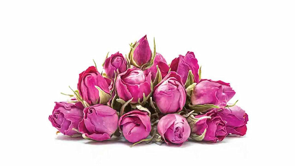 قیمت غنچه لاله زار